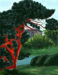 Conifer At Litchfield Villa, Prospect Park
