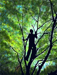 Emmitt In Trees, Brooklyn