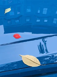 Fallen Leaves On Blue Car, Brooklyn