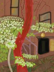 Flowering Dogwood Trees, 2015
