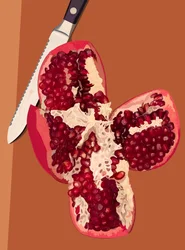 Four Sectioned Pomegranate