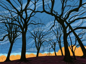 Grove of Elm Trees in Early Winter