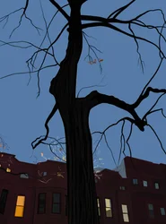 Houses and Tree at Night, Brooklyn