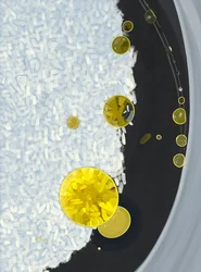 Rice Cooking In Pot With Drops of Olive Oil