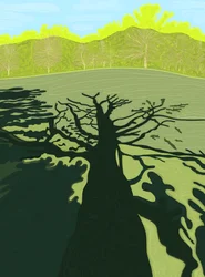 Shadow of Tree On Field, Brooklyn