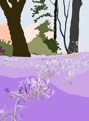 Spring Crocus