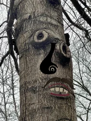 Tree Face