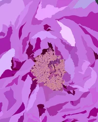 Tree Peony, c.2020-24