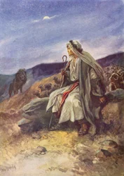 David the Brave