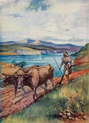 Ploughing in the Land of Jesus