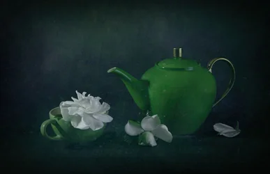 Green Teapot Gardenia