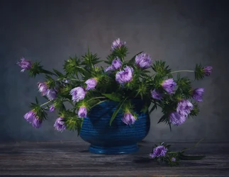 Lavender Thistles Still Life