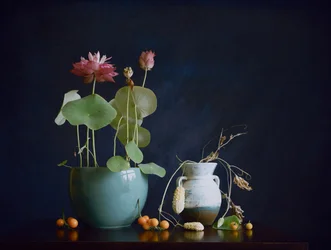 Pink Lotus Still Life