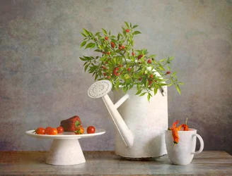 Rustic Chili Pepper Harvest