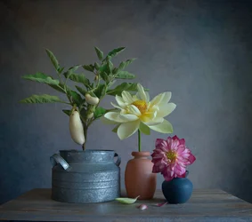Still Life with White Eggplants and Dahlia