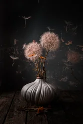 Ethereal Dandelion Still Life