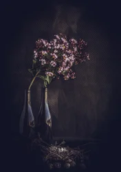 Rustic Floral Still Life