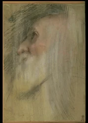 Head of an Old Man in Profile, c.1575-9