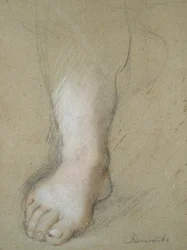 Study of a Foot