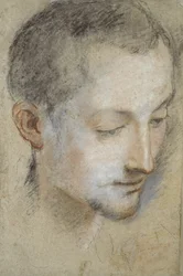 Study of a Young Man