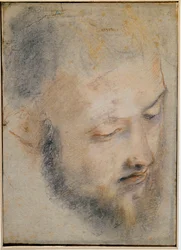 Study of Head - Drawing by Barocci