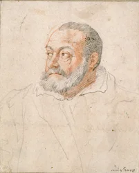 Portrait of a Man, Barozzi da Vignola