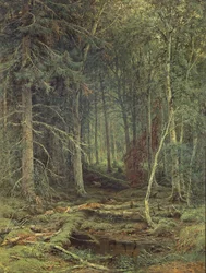 Swamp in the Forest, Autumn, 1872