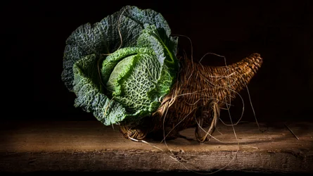 Dramatic Cabbage Basket
