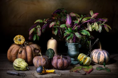 Moody Autumn Harvest