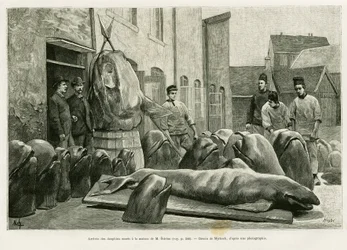 The arrival of the dead dolphins at Mr. Ostrom