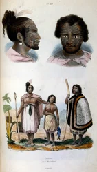 Anthropological illustration depicting the Maori Race