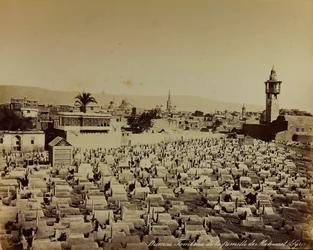 Mohammed