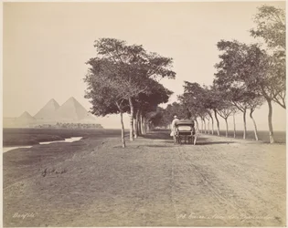 Cairo. Avenue of the Pyramids