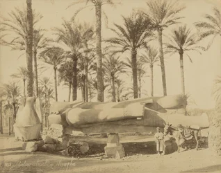 Colossal classical statue at Memphis (Senwosret III)