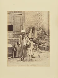 Egyptian Woman with a Donkey