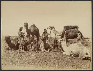 Rest Stop of Camel Drivers in the Desert