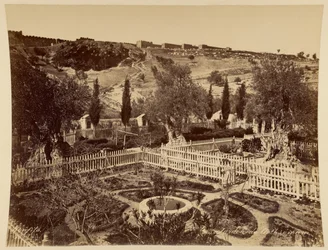 Garden of Gethsemane