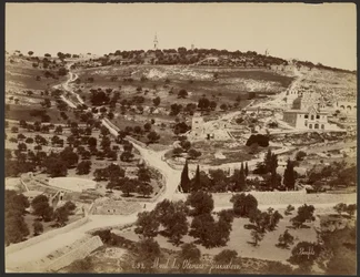 Mount of Olives, Jerusalem