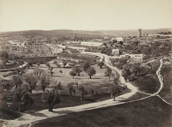 Valley landscape with a windmill and olive groves