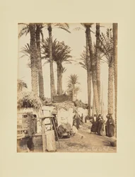 Arab Village on the Banks of the Nile