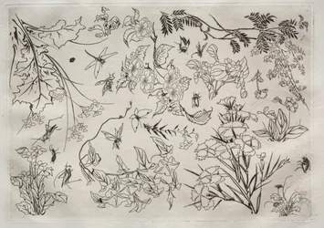 Dinner Service (Rousseau service): Flowers (no. 22)