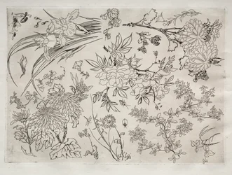 Dinner Service (Rousseau service): Flowers (no. 23)