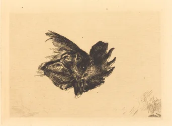 Head of a Cock