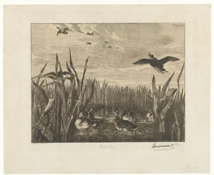 Landscape with Teals in the Water Among Reeds
