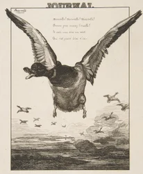 The Duck