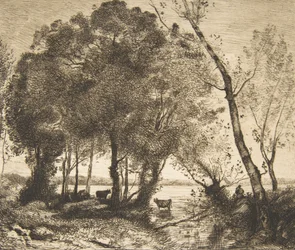 The Lake