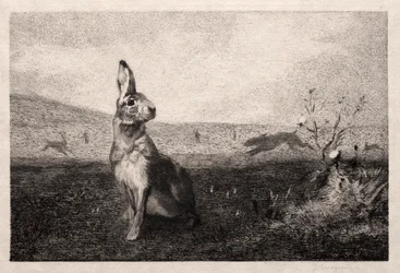 The Hare (after A. de Balleroy)