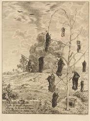 The Moles