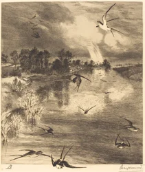 The Swallows