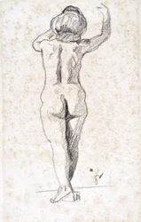 Nude from the back